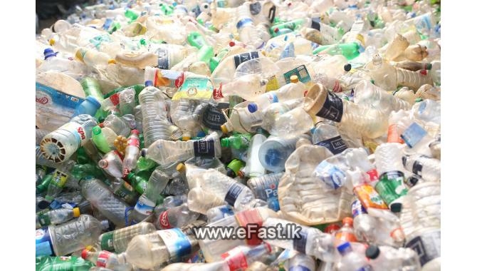 à¶‡à¶¸à¶»à·’à¶šà·à·€ à·€à·ƒà¶»à¶šà¶§ à¶´à·Šà¶½à·à·ƒà·Šà¶...