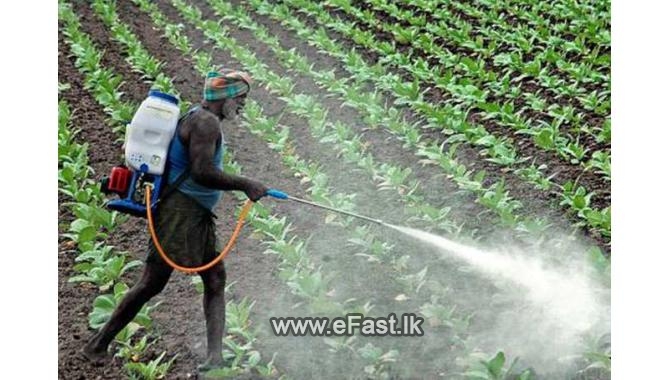 à¶»à·ƒà·à¶ºà¶±à·’à¶š à¶´à·œà·„à·œà¶» à¶†à¶±à¶ºà¶± à¶­à·„à�...