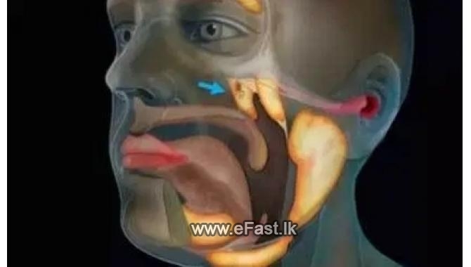 à¶±à·™à¶¯à¶»à·Šà¶½à¶±à·Šà¶­ à·€à·’à¶¯à·Šâ€à¶ºà·à¶¥à¶ºà¶�...
